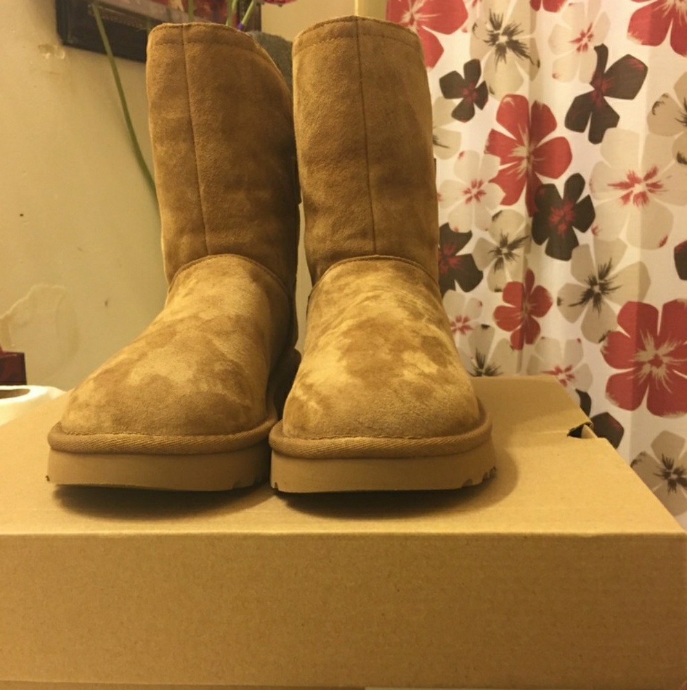 Brand new Ugg Remora Buckle Boots sz 5